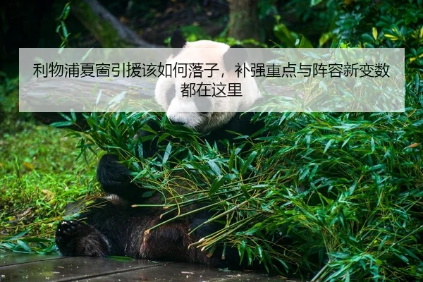 利物浦夏窗引援该如何落子，补强重点与阵容新变数都在这里